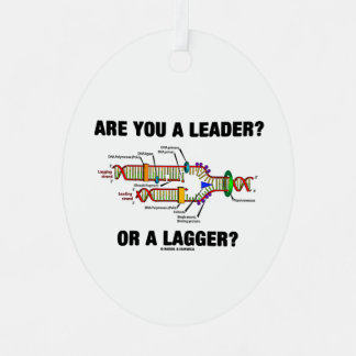 Bist du ein Führer? Oder eine Verzögerung? DNA-Rep Ornament Aus Metall