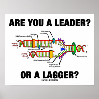 Bist du ein Führer? Oder eine Verzögerung? Geek DN Poster