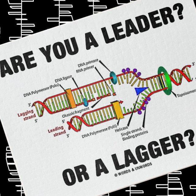 Bist du ein Führer? Oder eine Verzögerung? Geek DN Puzzle (Solve this jigsaw puzzle with a dose of DNA/molecular biology attitude)