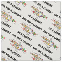 Bist du ein Führer? Oder eine Verzögerung? Geek DN