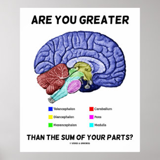 Bist du größer als die Summe deiner Teile? Gehirn Poster