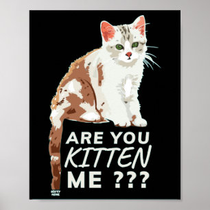 "BIST DU MICH KURZ?" niedliche Katzenjammer Poster