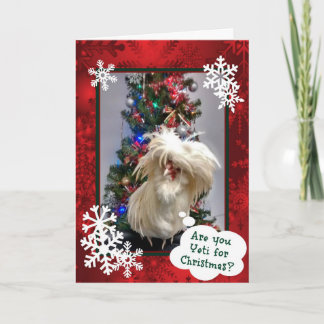 Bist du zu Weihnachten Yeti!