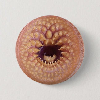 bitey Abzeichen Button