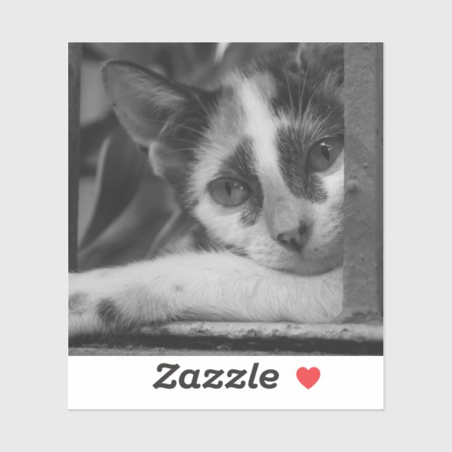 Bitte Kitty Aufkleber (Blatt)