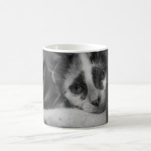 Bitte Kitty Kaffeetasse
