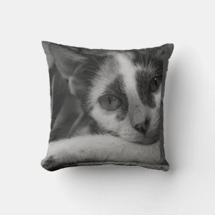 Bitte Kitty Kissen
