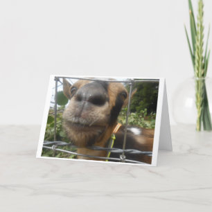 BITTE KOMMEN SIE MIT MIR, DAMIT ICH UNS FREUEN GEB KARTE