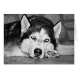 Bitte lass mir schlafen.