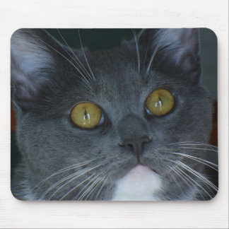 Bitte Mousepad