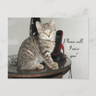 Bitte rufen Sie Kitty an Postkarte