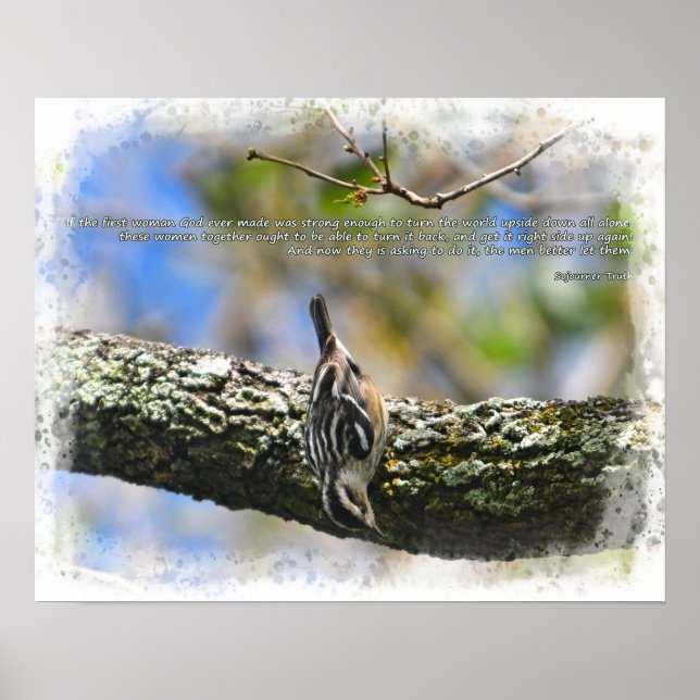 Bitter in Baum Sojourner Wahrheit Zitat Poster (Vorne)