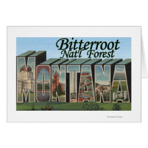 Bitterroot Nat'l Forest, Montana