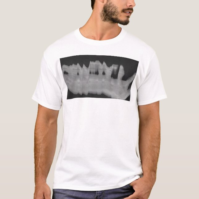 Bittersüße 1 T-Shirt (Vorderseite)