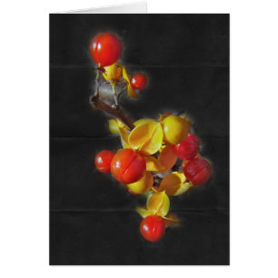 Bittersüße Beeren - Herbst-Schönheit