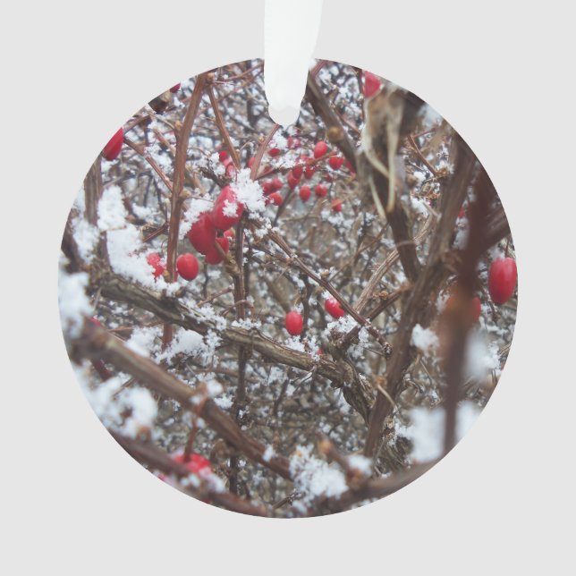 Bittersüße Beeren-Verzierung Ornament (Vorderseite)