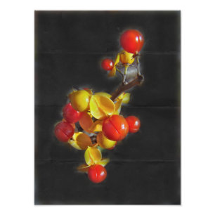 Bittersüße Berries - Herbstschönheit Fotodruck