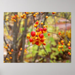 Bittersüße Berries Poster