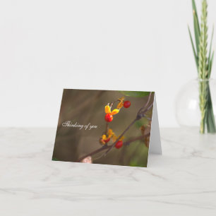 Bittersüße Thinking of You Notecard Dankeskarte