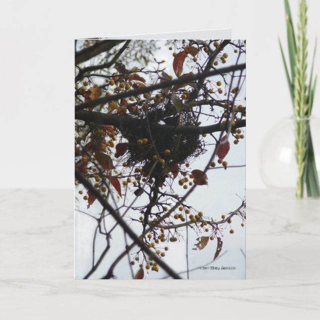 Bittersüßes Nest Karte (Vorderseite)