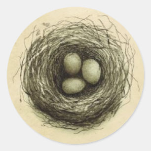 Bitty Vogel-Nest Runder Aufkleber