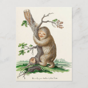 Bizarre Vintag Sloth Illustration Postkarte