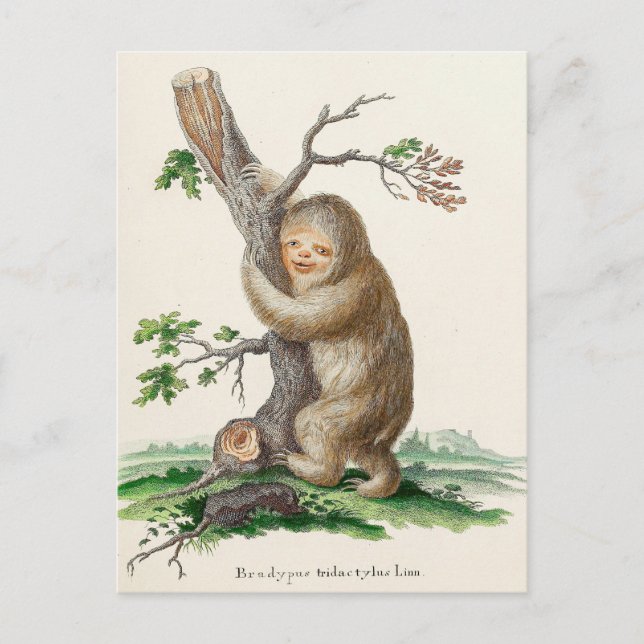 Bizarre Vintag Sloth Illustration Postkarte (Vorderseite)