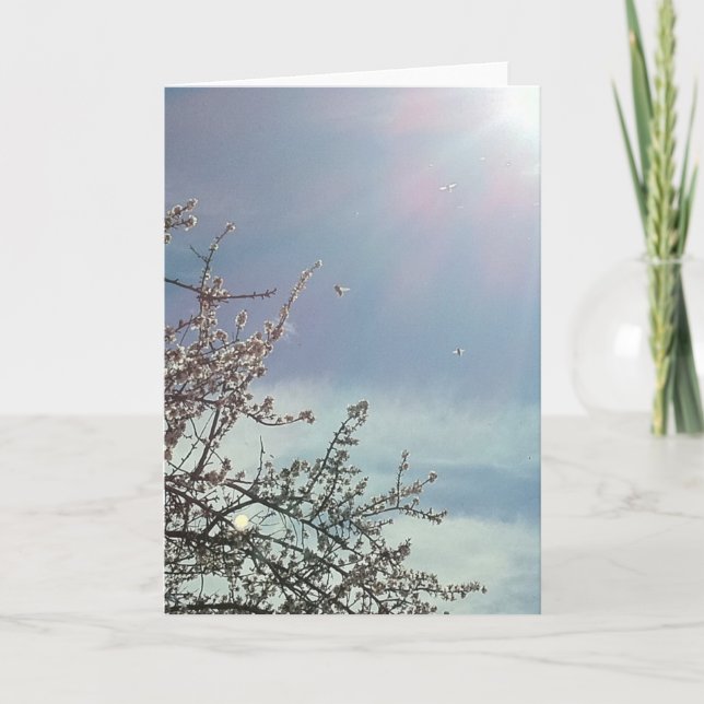 Bizzy Beezzz Karte (Vorderseite)