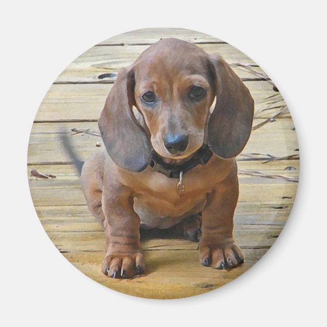 BK - Dachsund Puppy Magnet (Vorne)