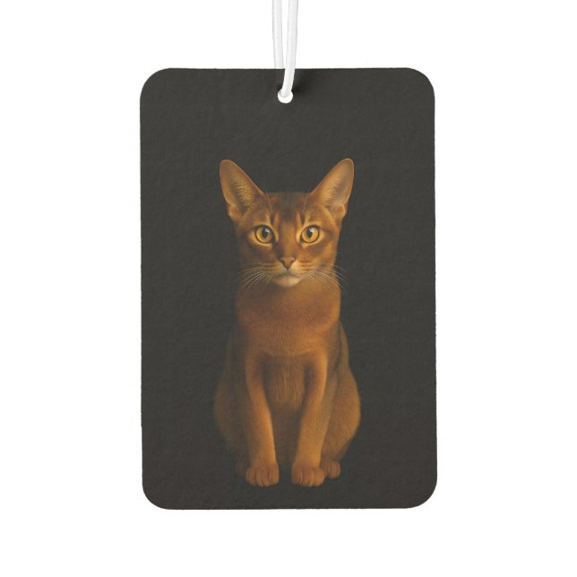 Black 4 Luxe Car Air Fresheners, Abyssinian Beauty Autolufterfrischer (Rückseite)