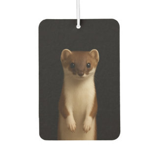 Black 4 Luxe Car Air Fresheners, Elegant Weasel Autolufterfrischer