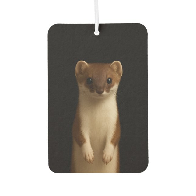 Black 4 Luxe Car Air Fresheners, Elegant Weasel Autolufterfrischer (Vorderseite)