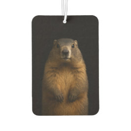 Black 4 Luxe Car Air Fresheners, Fluffy Marmot Autolufterfrischer