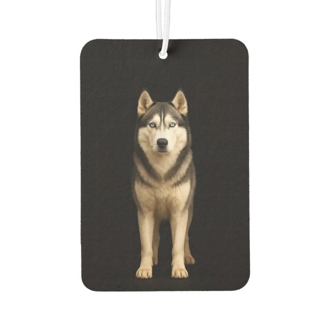 Black 4 Luxe Car Air Fresheners Icy Elite Husky Autolufterfrischer (Rückseite)