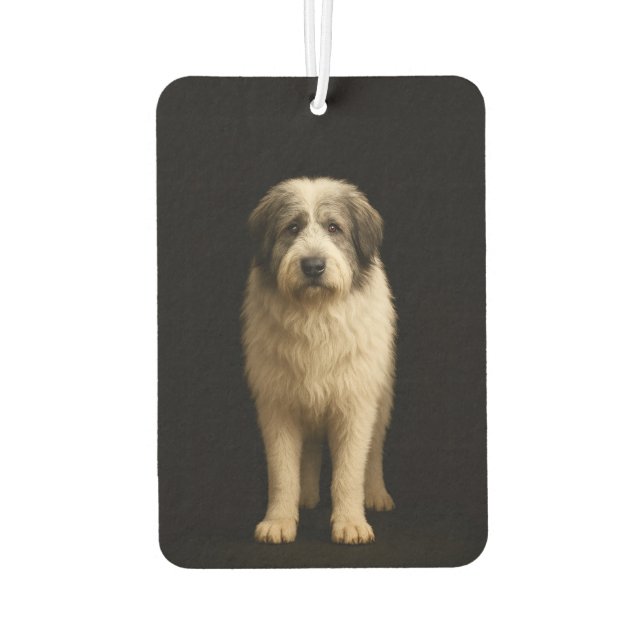 Black 4 Luxe Car Air Fresheners Mioritic Shepherd Autolufterfrischer (Rückseite)