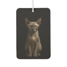 Black 4 Luxe Car Air Fresheners, Sphynx Cat