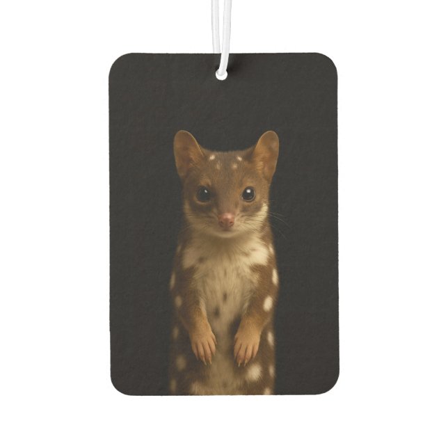 Black 4 Luxe Car Air Fresheners Sweet Quoll Autolufterfrischer (Rückseite)