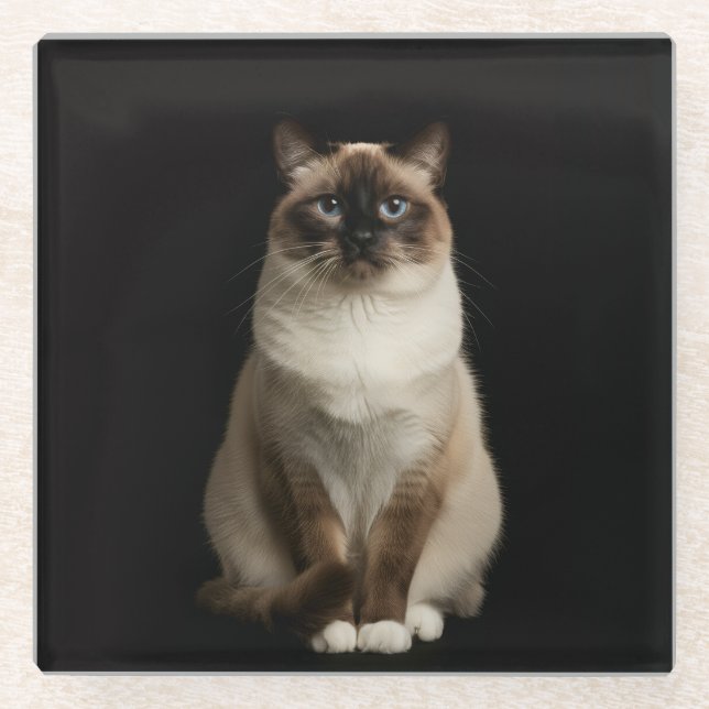 Black 4 Luxe Glass coaster, Birmanese Cat Glasuntersetzer (Vorderseite)