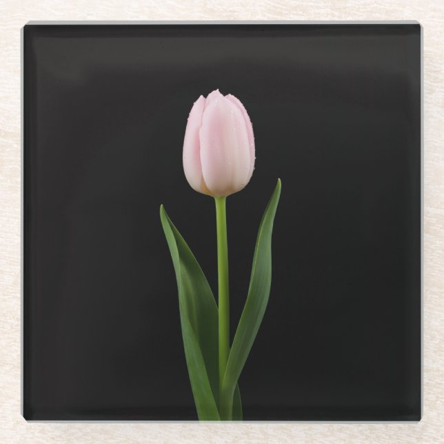 Black 4 Luxe Glass coaster, Blush Pink Tulip Glasuntersetzer (Vorderseite)
