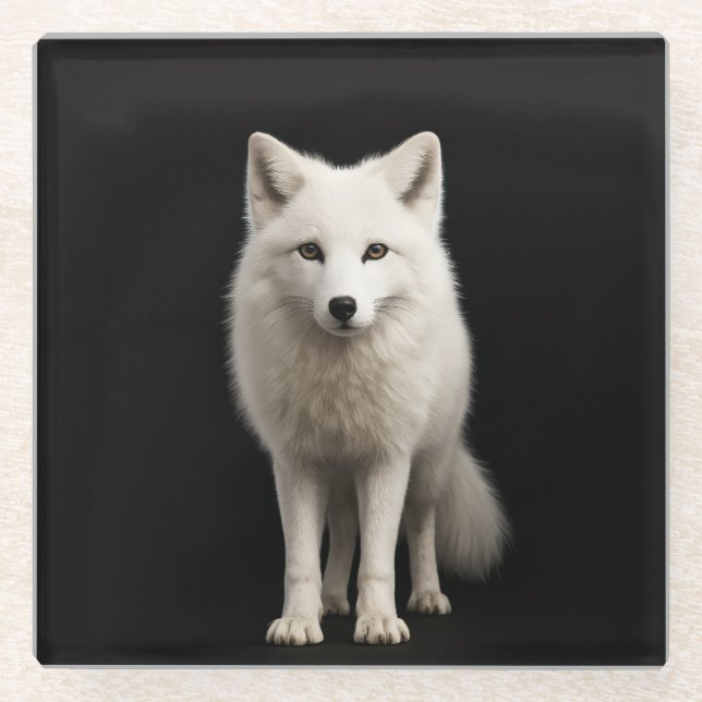 Black 4 Luxe Glass coaster, Ivory Arctic Fox Glasuntersetzer (Vorderseite)