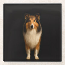 Black 4 Luxe Glass coaster, Loyal Collie Dog