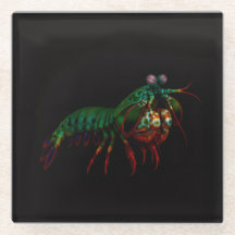 Black 4 Luxe Glass coaster, Mantis Shrimp
