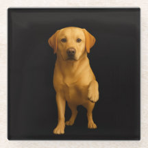 Black 4 Luxe Glass coaster, Tender Labrador