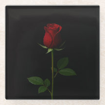 Black 4 Luxe Glass coaster, Velvet Red Rose