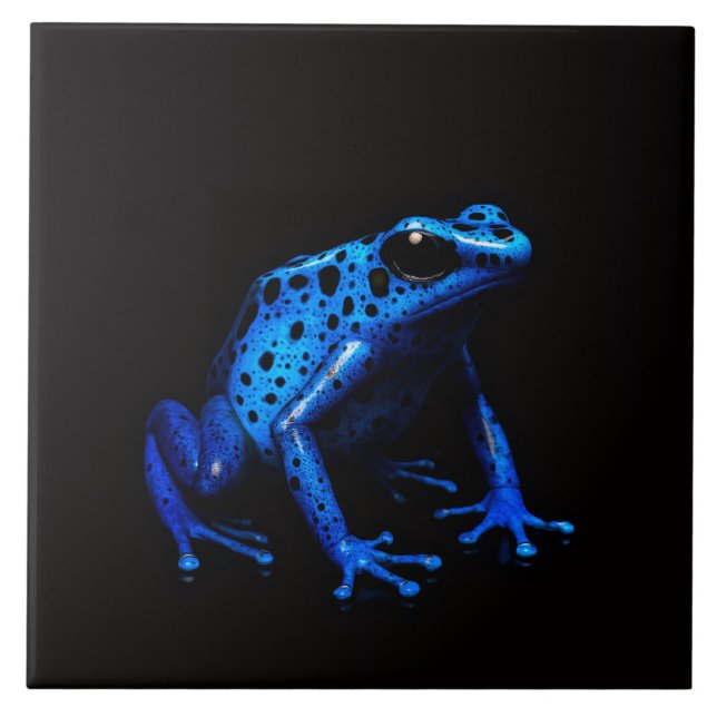 Black 4 Luxe Tile mit Blue Electric Frog Fliese (Vorderseite)