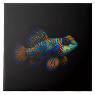 Black 4 Luxe Tile mit Mandarin Dragonet Fisch Fliese