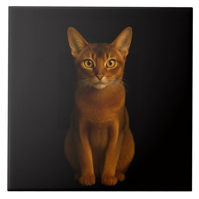 Black 4 Luxe Tile with Abyssinian Beauty Fliese (Vorderseite)