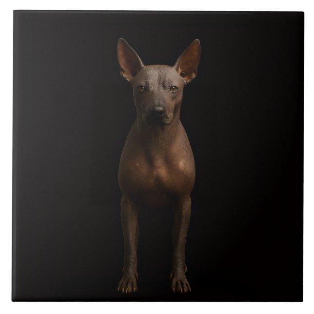 Black 4 Luxe Tile with Argentine Pila Dog Fliese (Vorderseite)