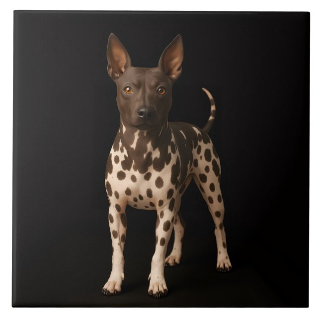 Black 4 Luxe Tile with Hairless Terrier Dog Fliese (Vorderseite)