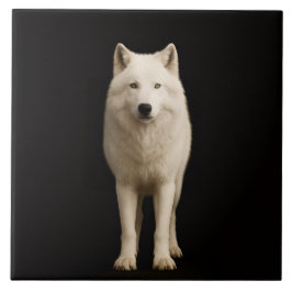 Black 4 Luxe Tile with Ivory Arctic Wolf Fliese